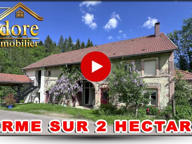 TROP TARD *GîTE FORT RENDEMENT + FERME VOSGIENNES SUR 2 HECTARES !