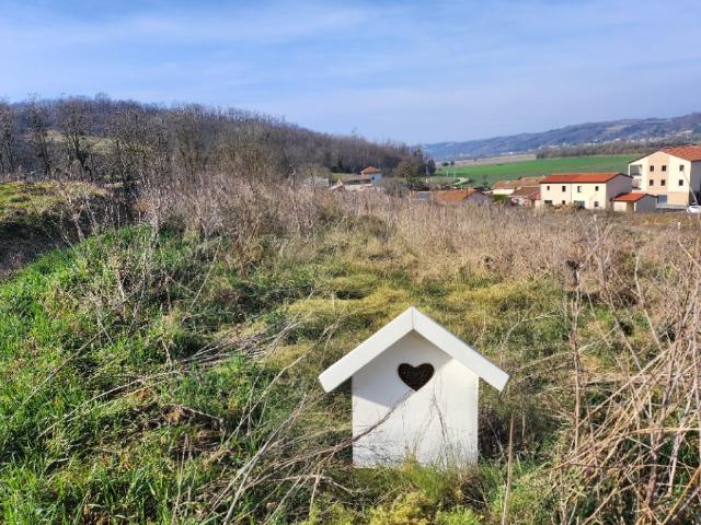Givors Vente Terrain 69