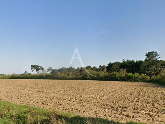 Givrand Vente Terrain 85
