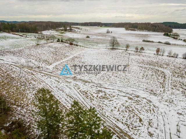 Gołubie, 1 147 m2