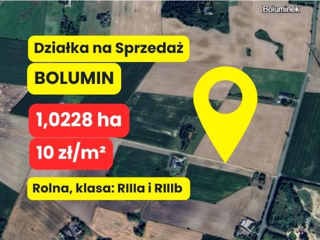 Gołębia 10 228 m², Bolumin
