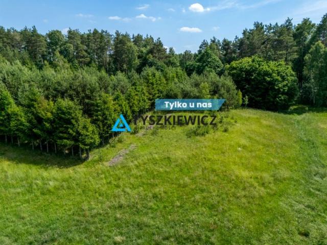 Gołębia 2 166 m², Nowa Wieś Przywidzka
