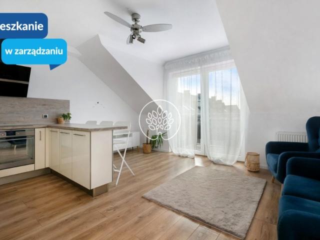 Gołębia 45 m², Bydgoszcz