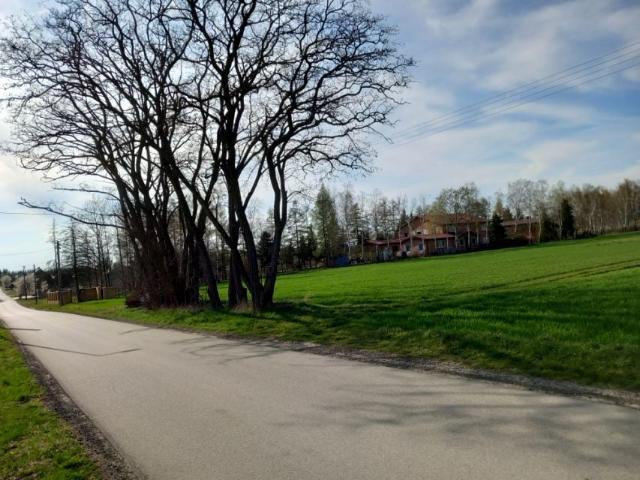 Gościniec 2 500 m², Łódź