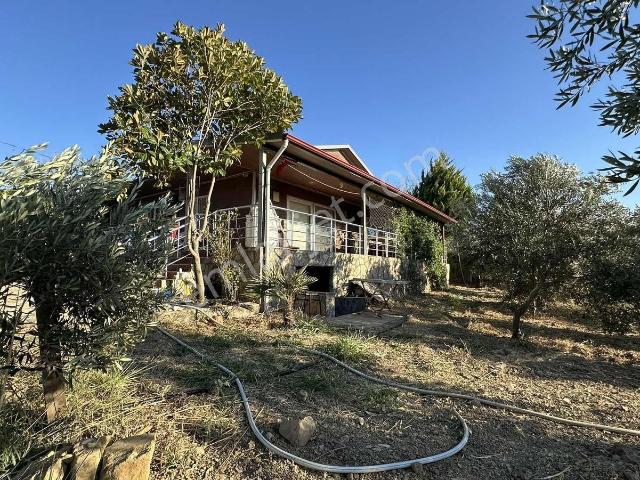 Gömeç'te 2800m2 Asfalt Yola Cephe Çiftlik Evi