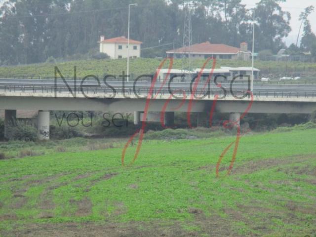Gondomar Gondomar 100591566