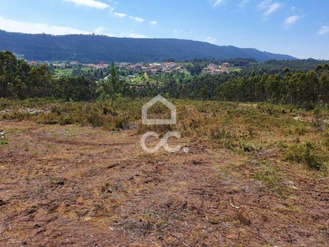 Gondomar Porto 86974157