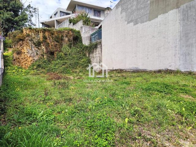 Gondomar Porto 100358275