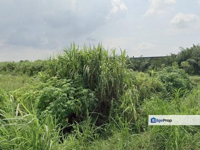 [GOOD INVEST] Klang Johan Setia Sijangkang Agricultural Land