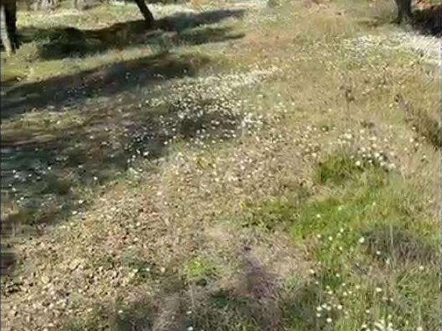 Gödencede Uygun Satılık Arsa Doğa, Huzur ve Yatırım BİRARADA