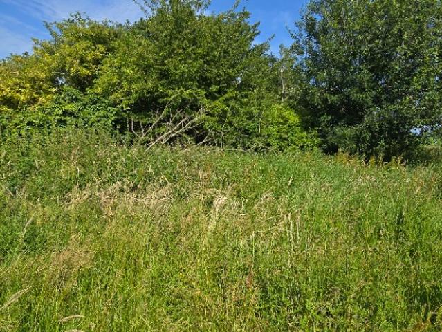 Goderville Vente Terrain 76