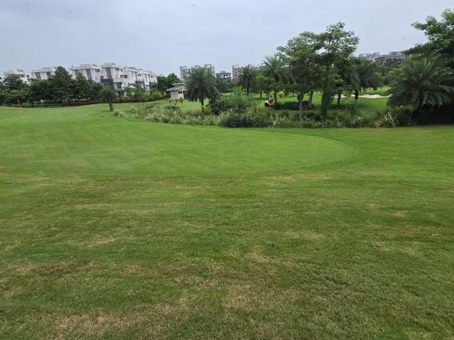 Godrej Golf Link Villas 4 Bedroom 2835 Sq. Ft. Villa in Sector 27 Yamuna Expressway Greater Noida Listing ID: #10130