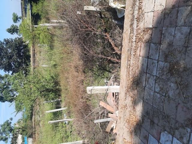 Godrej Greenview Estate 910 Sq. Ft. Plot in Ujjain Road Indore Listing ID: #10267