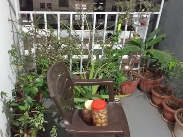 Godrej Greens 3 Bedroom 1250 Sq. Ft. Apartment in Undri Pune Listing ID: #10347