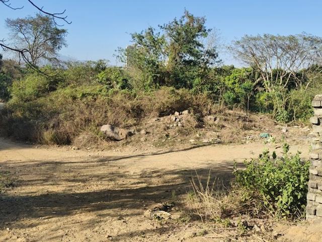 Godrej Emerald 18000 Sq.Ft. Plot in Ghodbunder Road Thane Listing ID: #10325