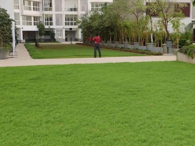 Godrej Origins The Trees 1 Bedroom 480 Sq. Ft. Apartment in Vikhroli East Mumbai Listing ID: #10215