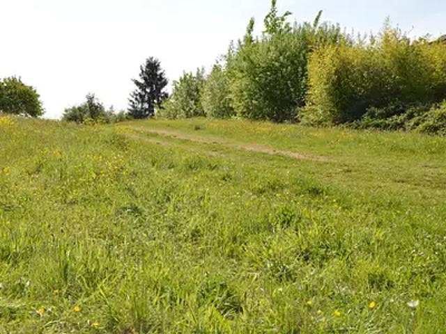 Goetzenbruck 57620 Achat / Vente divers