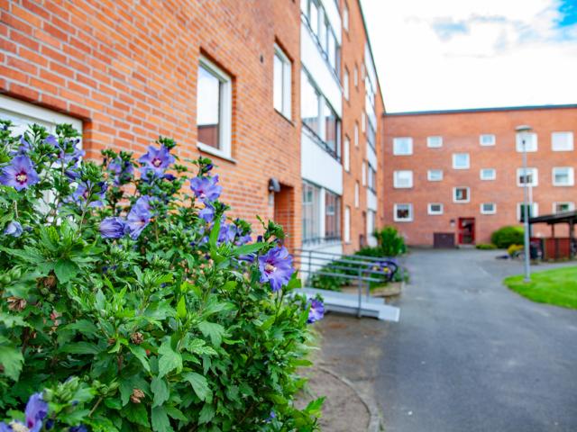 Göingegatan 36