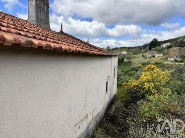 Gois Coimbra 103157308