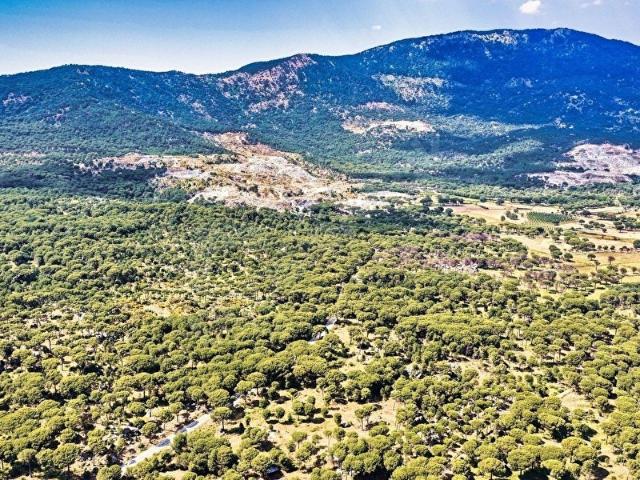 GöktürkArsa'dan YOLA CEPHE 4.300 m SATILIK FISTIKLIK