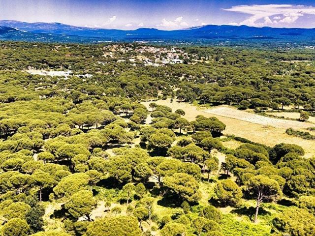 GöktürkArsa'dan HOBİ BAHÇESİ YATIRIM İÇİN UYGUN 5.6 DÖNÜM ARAZİ