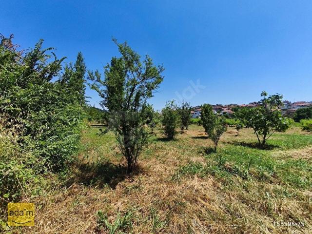 Gökçealanda köy içinde Satılık, 724 m2 bahçe arazi.