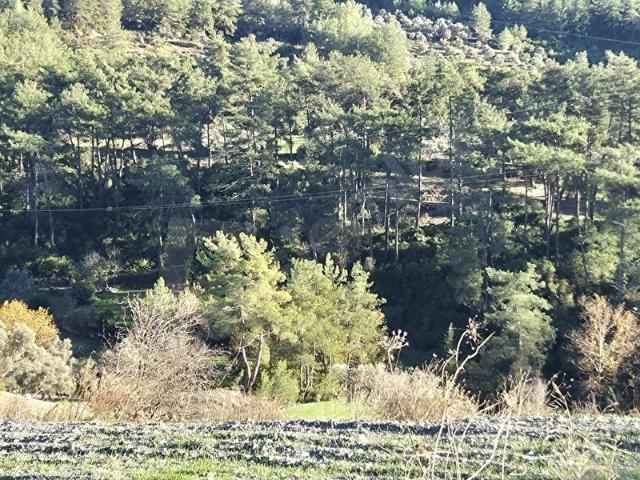 GÖKOVA KÖRFEZİ MİLAS ÖREN YAKINLARINDA KELEPİR ARSA 500BİN TL