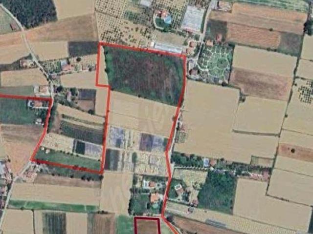 Gökova'da Yolu olan Satılık Fırsat Tarla