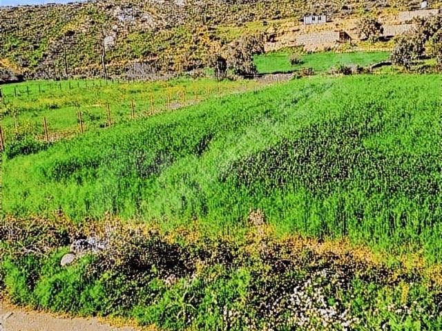 GÖKPINARDA SATILIK YOL PROBLEMI OLMAYAN TARLA