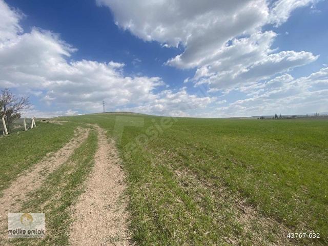 GÖLBAŞI OĞULBEY'DE ASELSANIN ARKASINDA 2.245M2 HİSSELİ TARLA