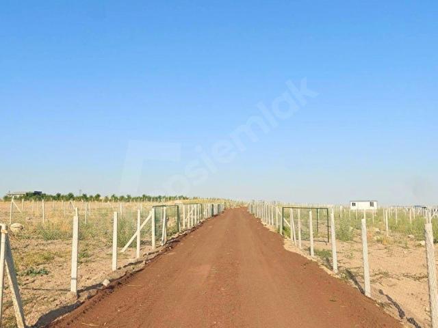 GÖLBAŞI ÇAYIRLIDA 425 M HOBİ BAHÇESİ