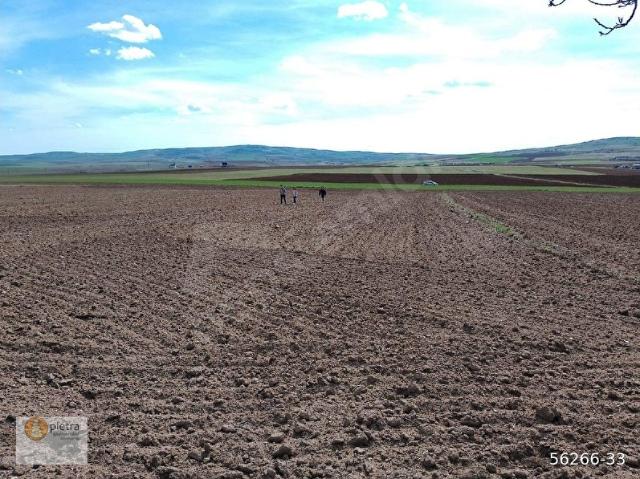 GÖLBAŞI DİKİLİTAŞTA 2.882 M2 MÜSTAKİL TAPULU SATILIK ARAZİ