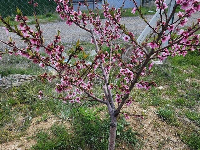 GÖLBAŞI GÖKÇEHÖYÜK KÖYÜ İÇİNDE, VİLLA İMARLI,ALT YAPILI, 513 M2 YATIRIM DEĞERİ YÜKSEK KÖŞE ARSA