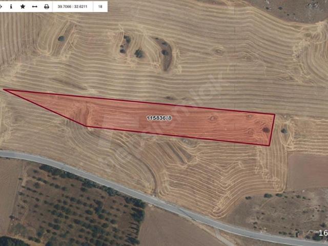 GÖLBAŞI HALAÇLI'DA YOLA YAKIN SATILIK TARLA