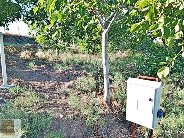 GÖLBAŞI KARAALİDE ÇEVRİLİ ELETRİKSU ACİL SATILIK 250M2 KOP. HİS