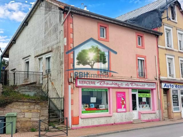 GOLBEY 88 Immeuble ensemble immobilier 6 pièces 225m2 avec local commercial sur 2,46 ares