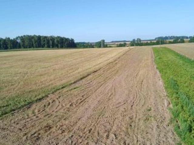 Golczewo, 318700 m² Działka