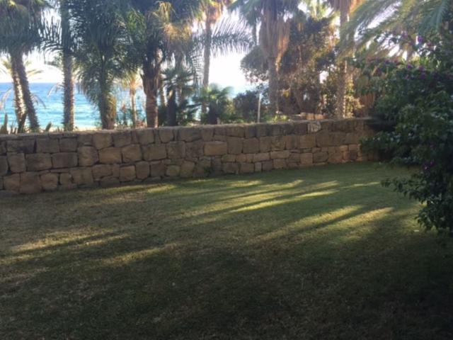 GOLDEN MILE FIRST LINE BEACH APARTMENT 3190