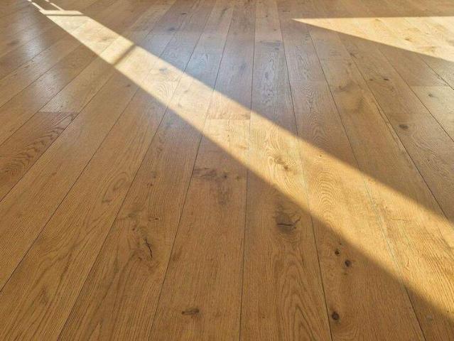 5% Goldesel in Bad Kissingen zu verkaufen!