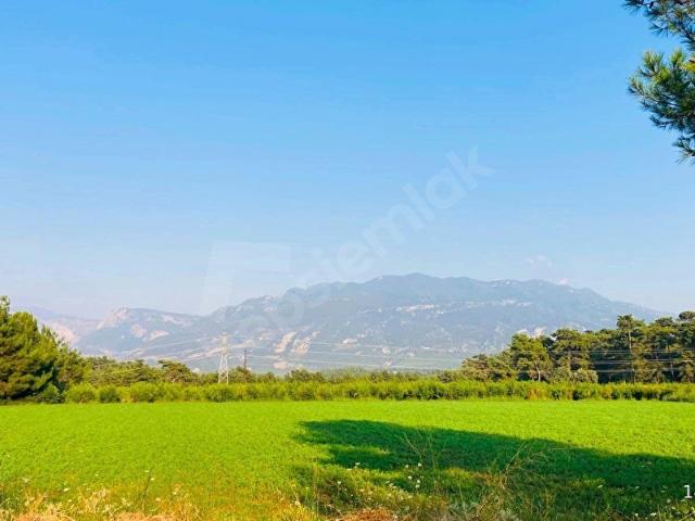 GoldHouse dan Satılık Seydikemer de Nar Bahçesi ve Eşyalı 2+1 Ev