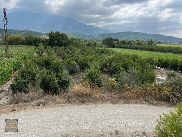 GoldHouse dan Satılık Seydikemer Demirlerde Nar bahçesi