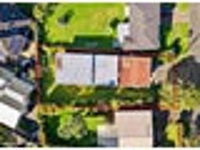 Goldmine in the Heart of Remuera