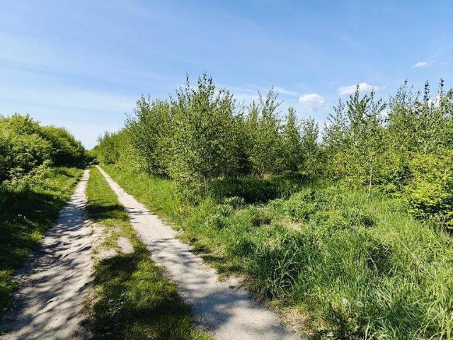Goleniów, 980 m2