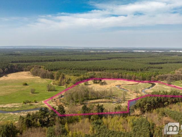 Goleniów, Krzewno Osada, 81 800 m2