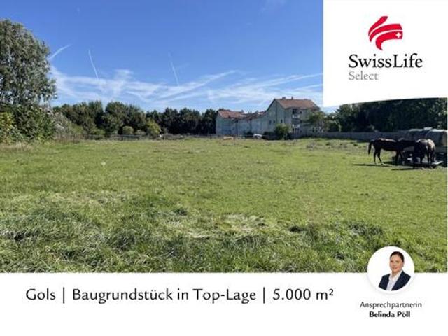 Gols | Baugrundstück in Top Lage | 5.000 m²