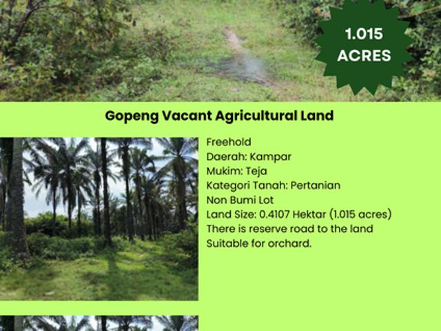 Gopeng
