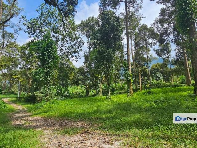 Gopeng