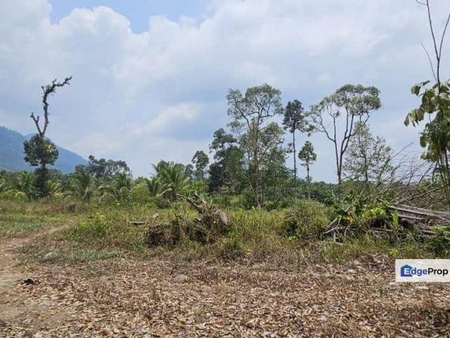 Gopeng