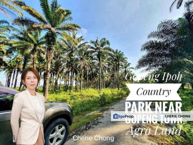 Gopeng Ipoh Country Park Near Gopeng Town 1 Acre Agriculture Land