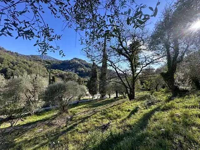 Gorbio 06500 Achat / Vente terrain